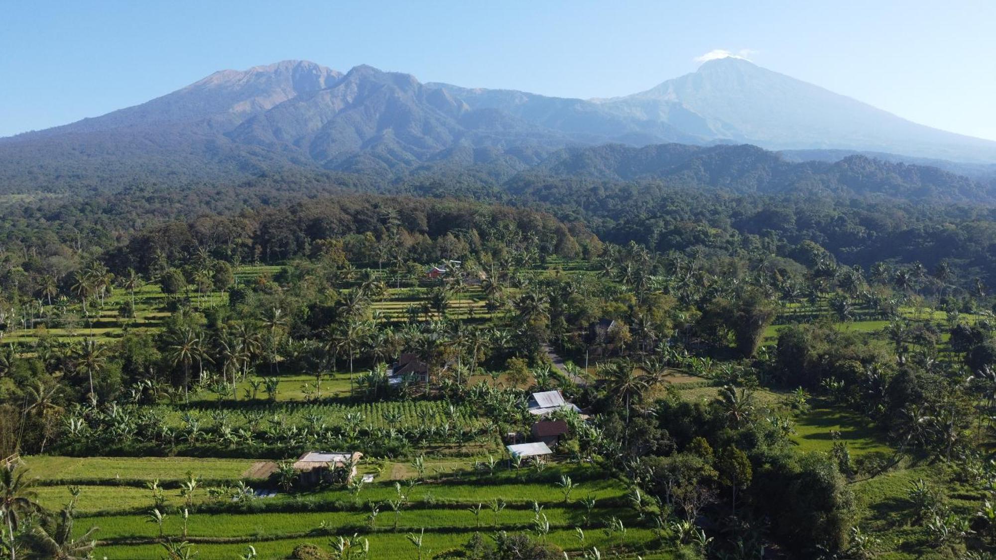 Opik Homestay Tete Batu Tetebatu Bagian luar foto